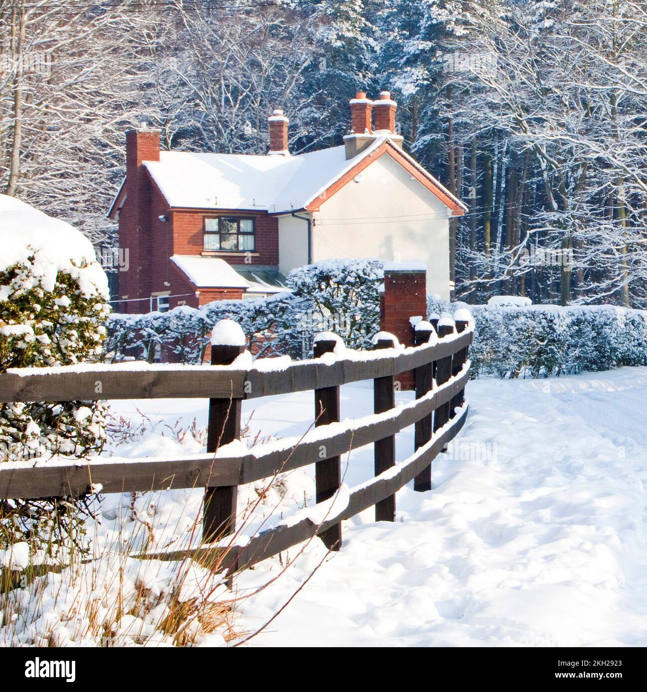 Cottage en hiver coeur de l'Angleterre manière Cannock Wood Cannock Chase Country Park AONB (région d'une beauté naturelle exceptionnelle) Staffordshire Angleterre Royaume-Uni Banque D'Images