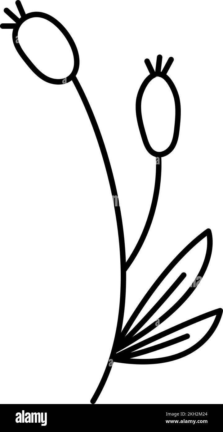 Spring Vector branche stylisée dessinée à la main avec baies et feuilles. icône vectorielle de style scandinave. Elément d'illustration. Décoratif Illustration de Vecteur