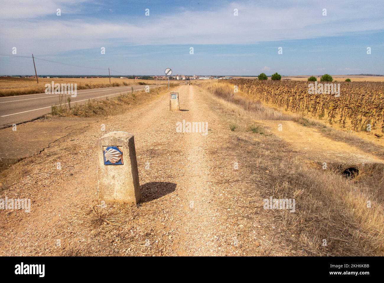 Sur la route de Carrión de los Condes le chemin de Saint James court en ligne droite le long de la route nationale. Banque D'Images