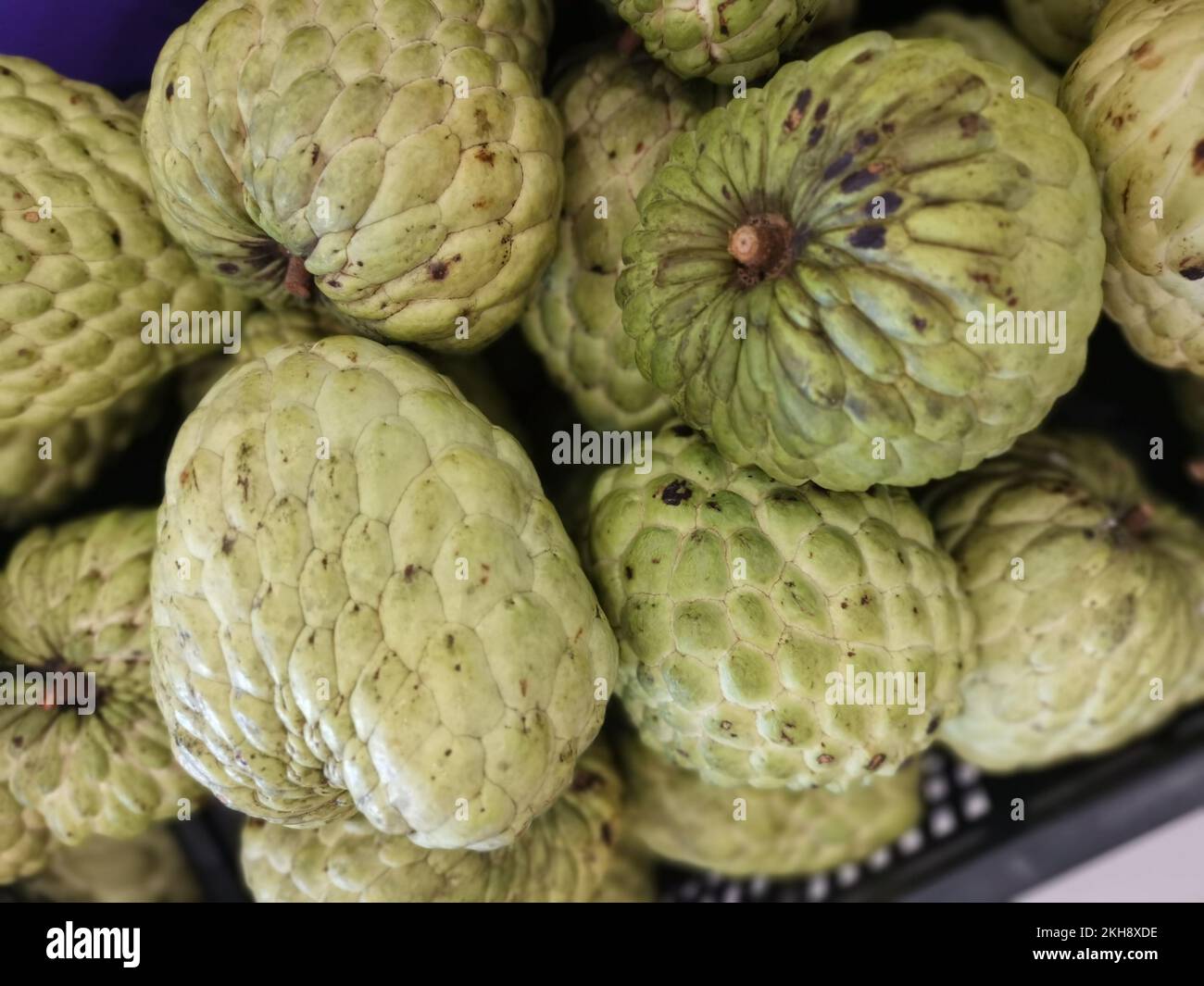 beaucoup de fruits frais de l'anhydride d'anneau thaïlandais. Banque D'Images