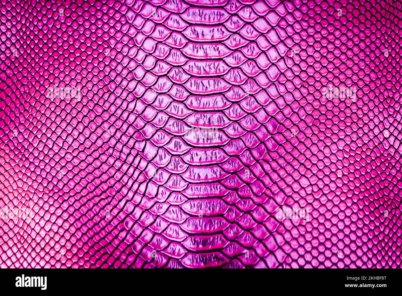 Texture de peau de serpent de luxe rose pour l'arrière-plan Banque D'Images