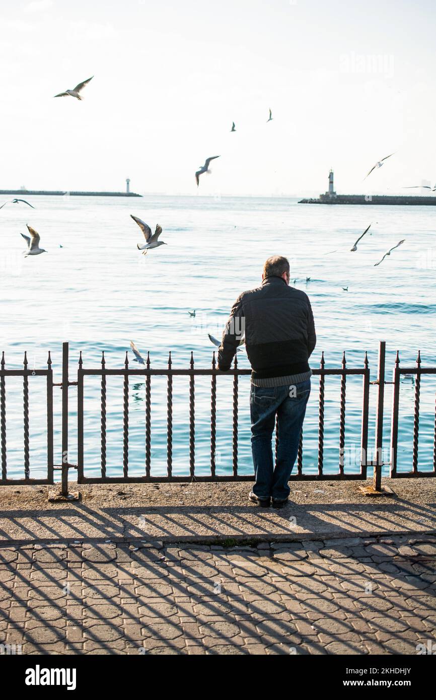 Oiseau solitaire vit dans l'environnement naturel Banque D'Images