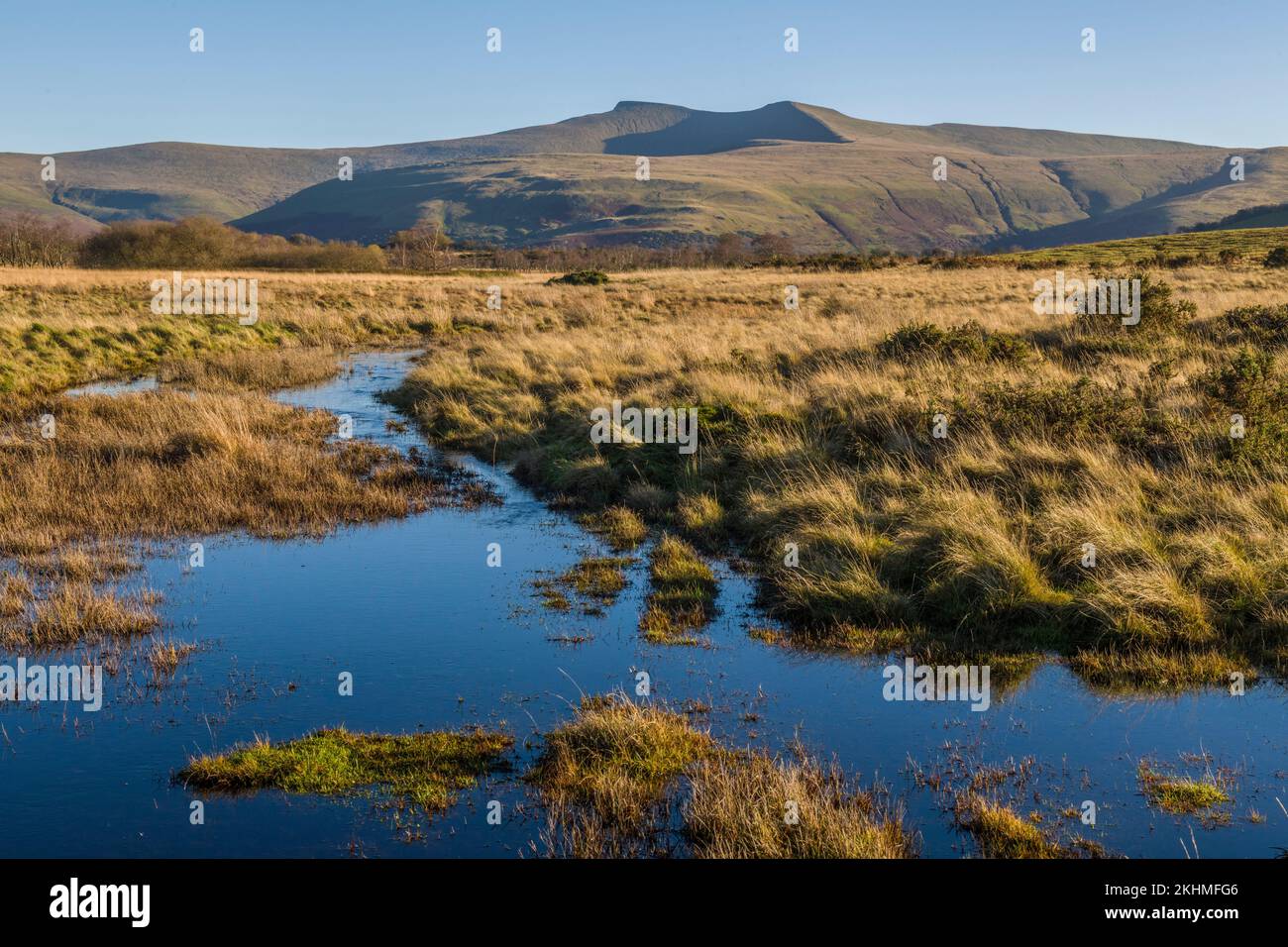 Vous cherchez à Pen y Fan et Corn du depuis le parc national Mynydd Illtyd Common Brecon Beacons Banque D'Images