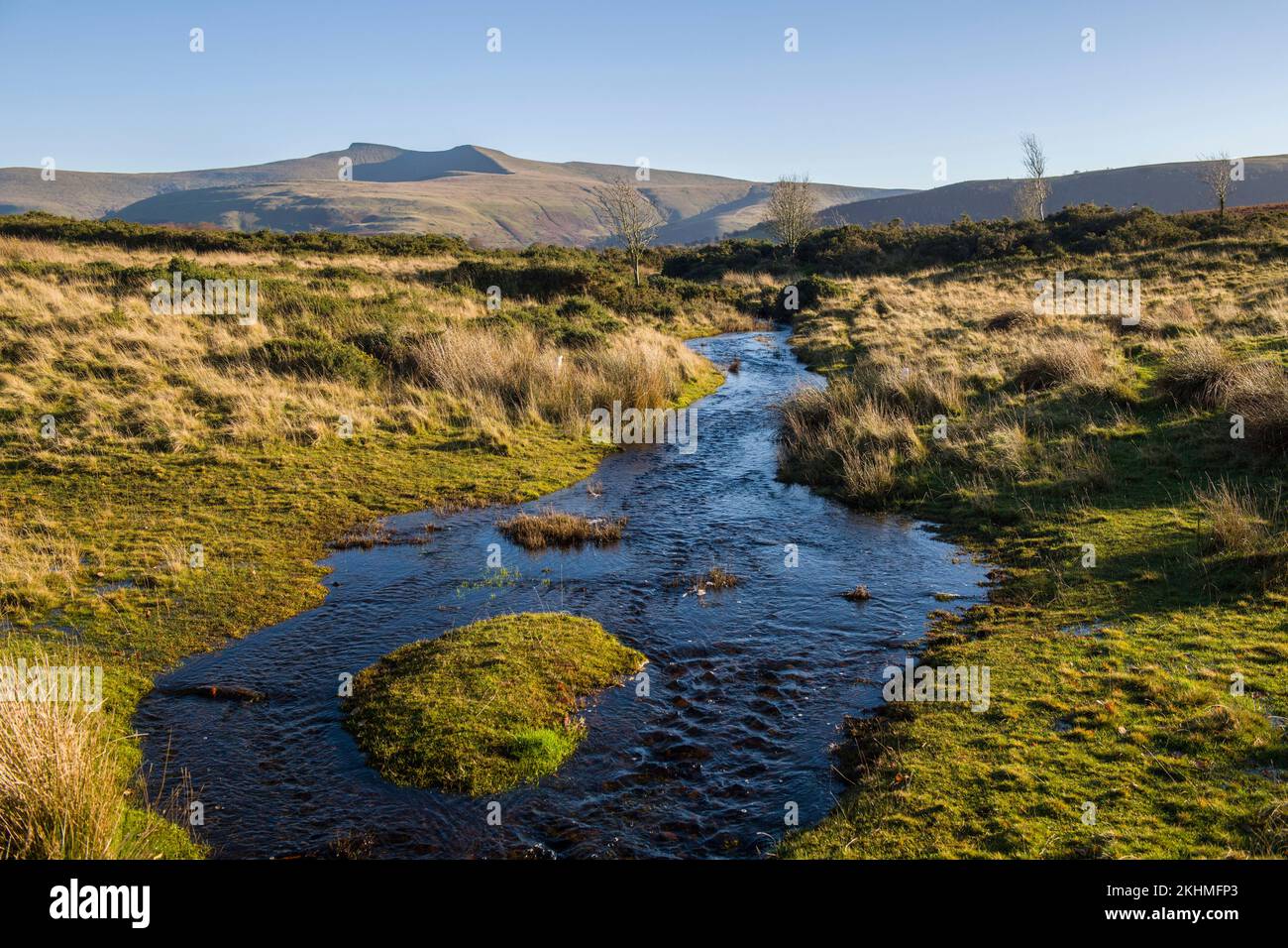 Suivant le cours d'eau sur Mynydd Illtyd commun à Pen y Fan et Corn du dans le centre des Brecon Beacons du sud du pays de Galles Banque D'Images