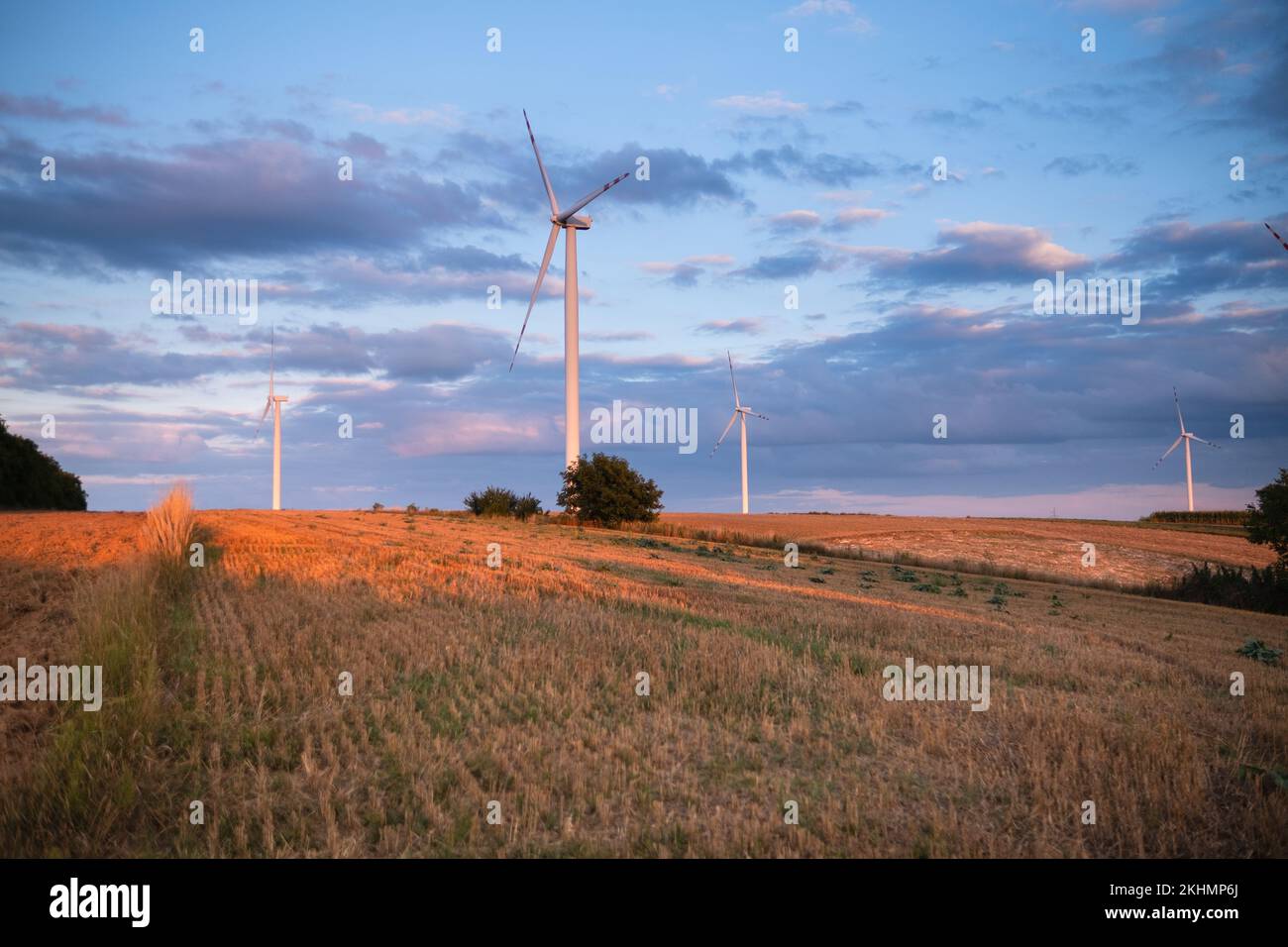 Champ d'automne avec ferme éolienne au coucher du soleil Banque D'Images