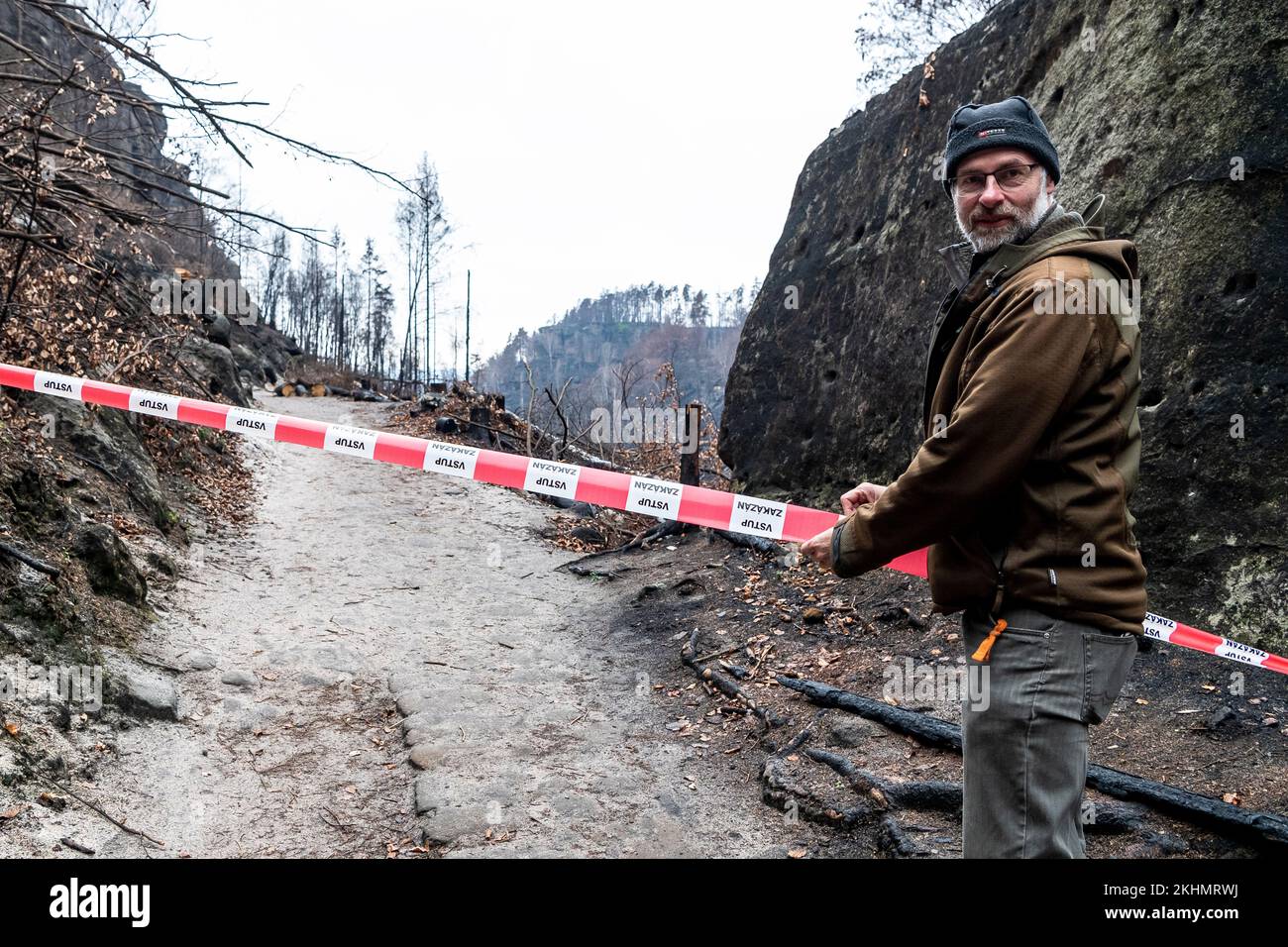 Hrensko, République tchèque. 22nd novembre 2022. Parc national de la Suisse de Bohême quatre mois après l'incendie, République tchèque, 11 novembre 2022. L'incendie qui a éclaté en Suisse de Bohême sur 24 juillet a été le plus grand feu de forêt de l'histoire tchèque moderne, touchant plus de mille hectares. Le feu a également frappé une partie de la forêt en Allemagne, dans le parc national de Saxe Suisse. Crédit : Ondrej Hajek/CTK photo/Alay Live News Banque D'Images