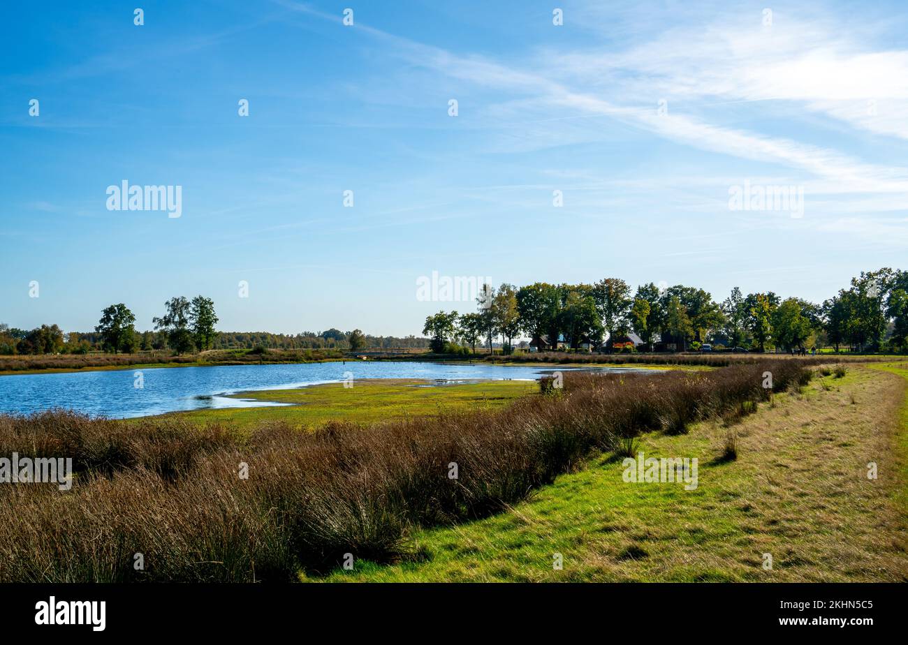 Piscine dans un marais à Bargerveen, pays-Bas Banque D'Images