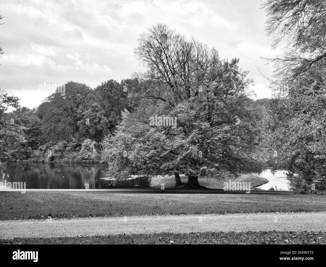 Parc du château de Frederiksborg photographié en noir et blanc, en automne avec de puissants arbres à feuilles caduques sur les prés du jardin. Couleurs colorées des feuilles. Banque D'Images