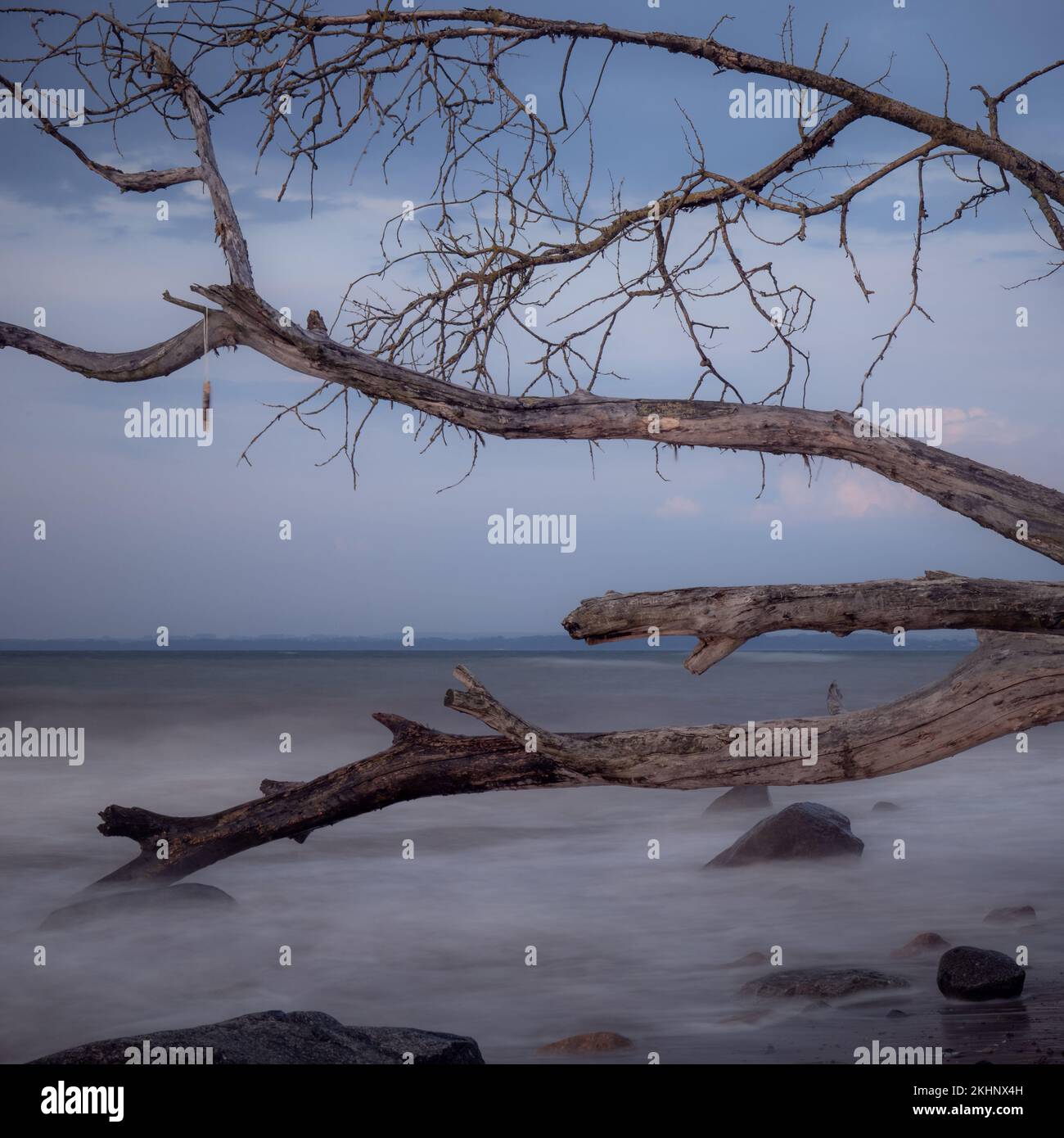 Une longue exposition de vagues de mer touchant le tronc d'un arbre mort situé sur la rive d'une plage Banque D'Images