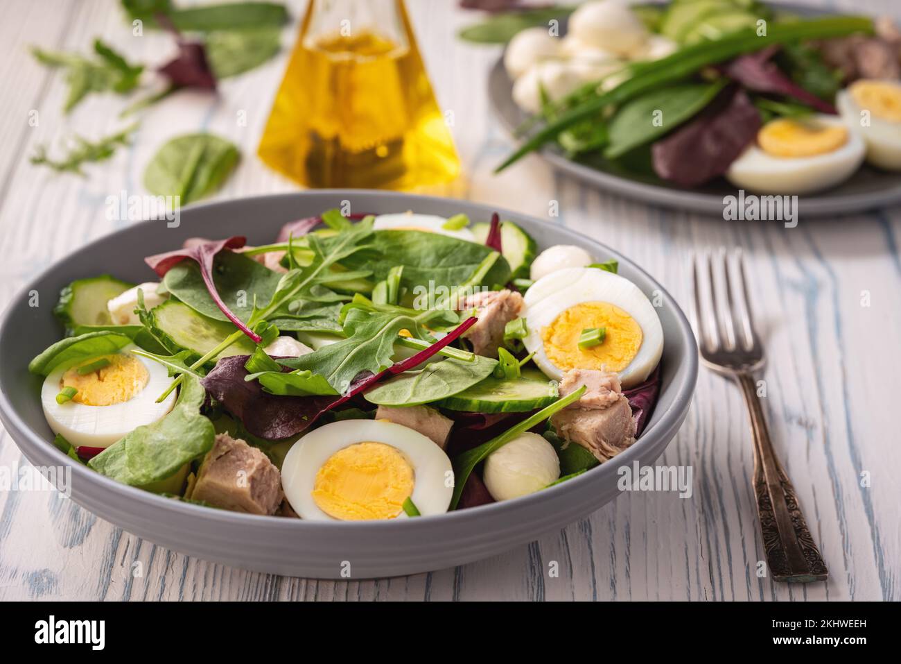 Plat de keto - salade verte saine avec arugula, thon, mozzarella et œufs. Banque D'Images