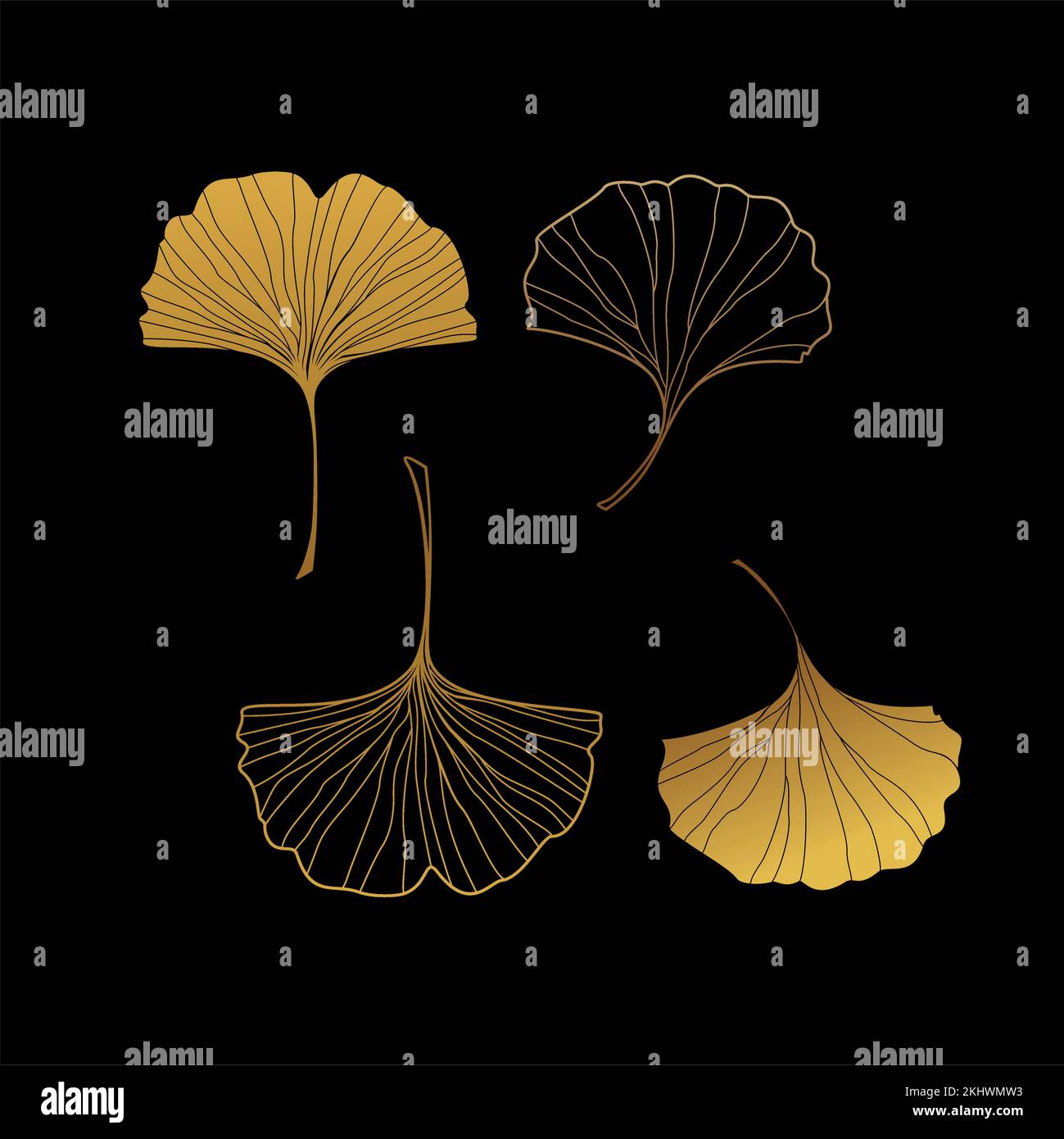 Illustration d'une feuille de ginkgo. Illustration de Vecteur