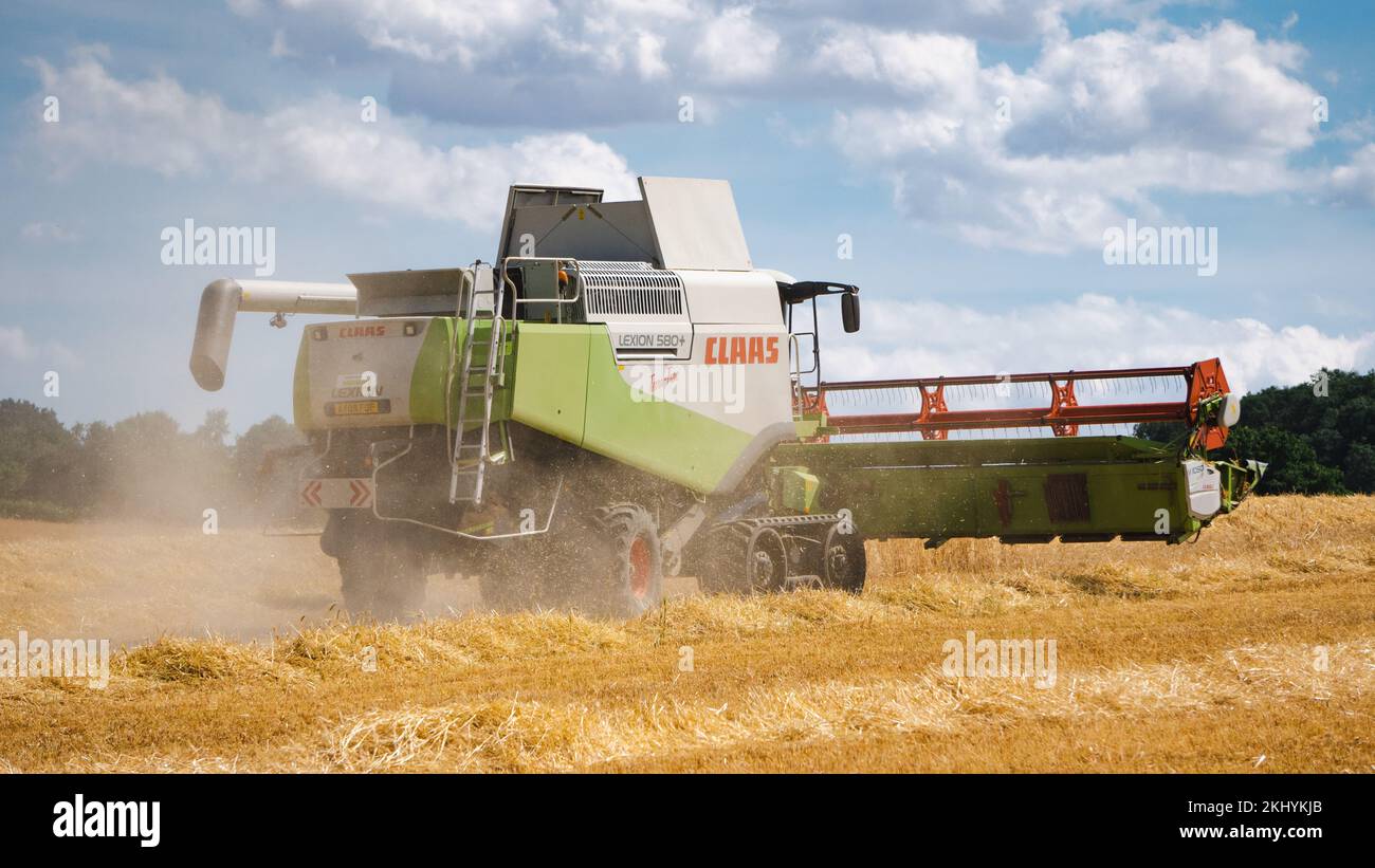 Vue arrière d'une moissonneuse-batteuse CLAAS moissonnant un champ. Banque D'Images