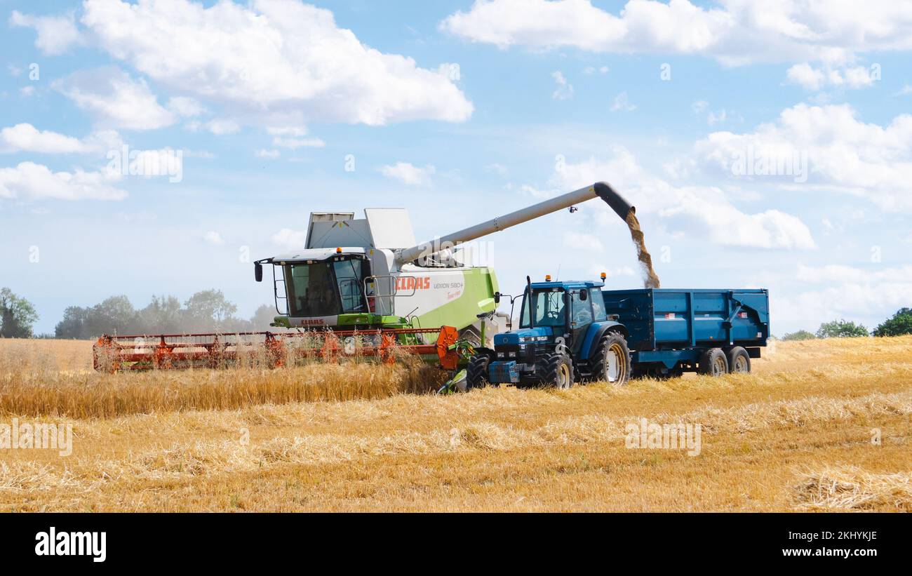 Une moissonneuse-batteuse CLAAS récolte un champ tout en vidant son grain dans un tracteur proche. Banque D'Images