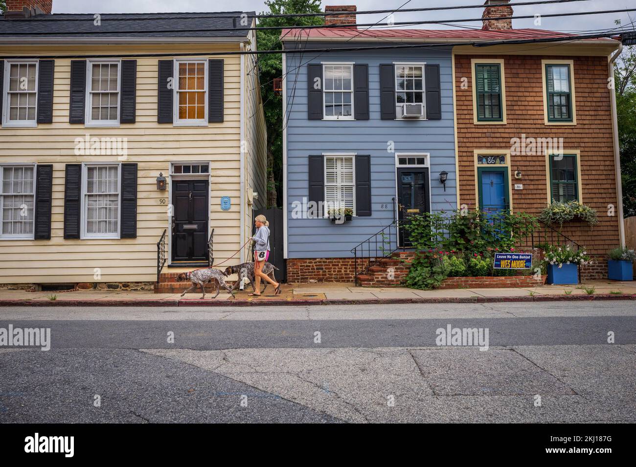 La marche du chien passant par les maisons colorées Banque D'Images