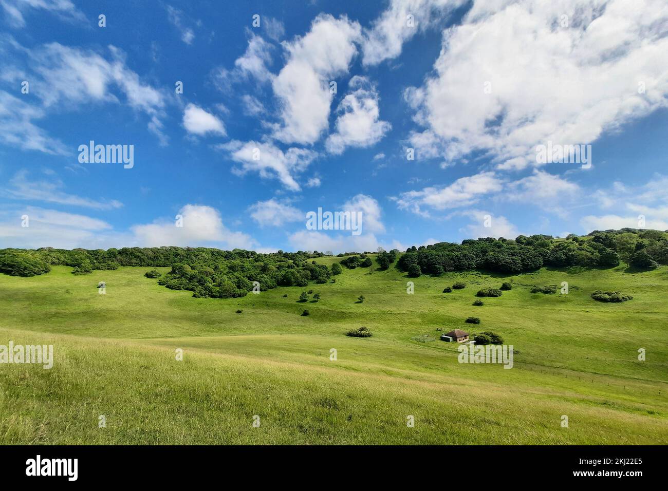 Doyen profond. East Sussex, Royaume-Uni. Banque D'Images