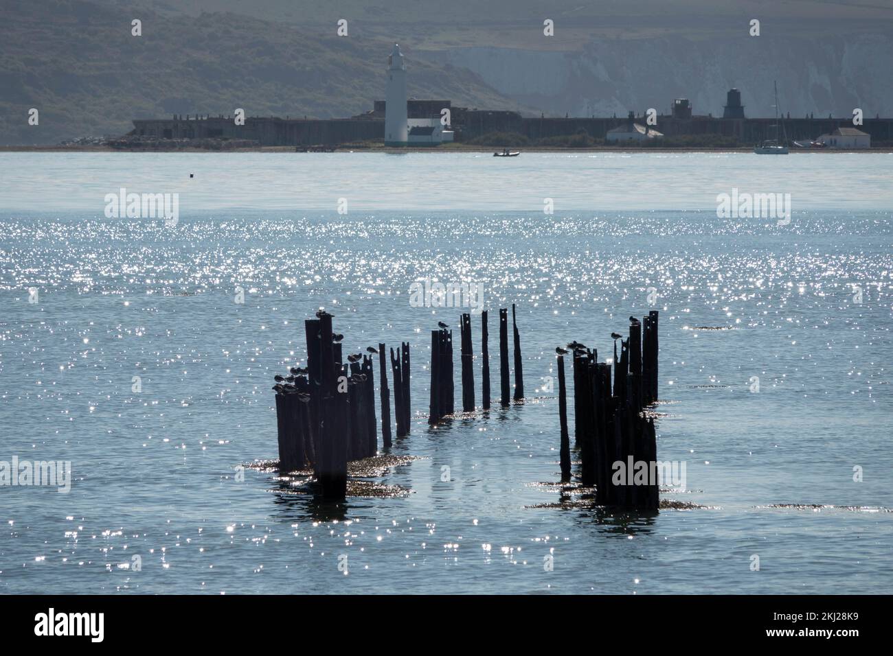 Squelette de l'ancienne jetée à Keyhaven et Lymington nature Reserve Hampshire Angleterre avec Hurst point Light Lighthouse et Hurst Castle à l'arrière Banque D'Images