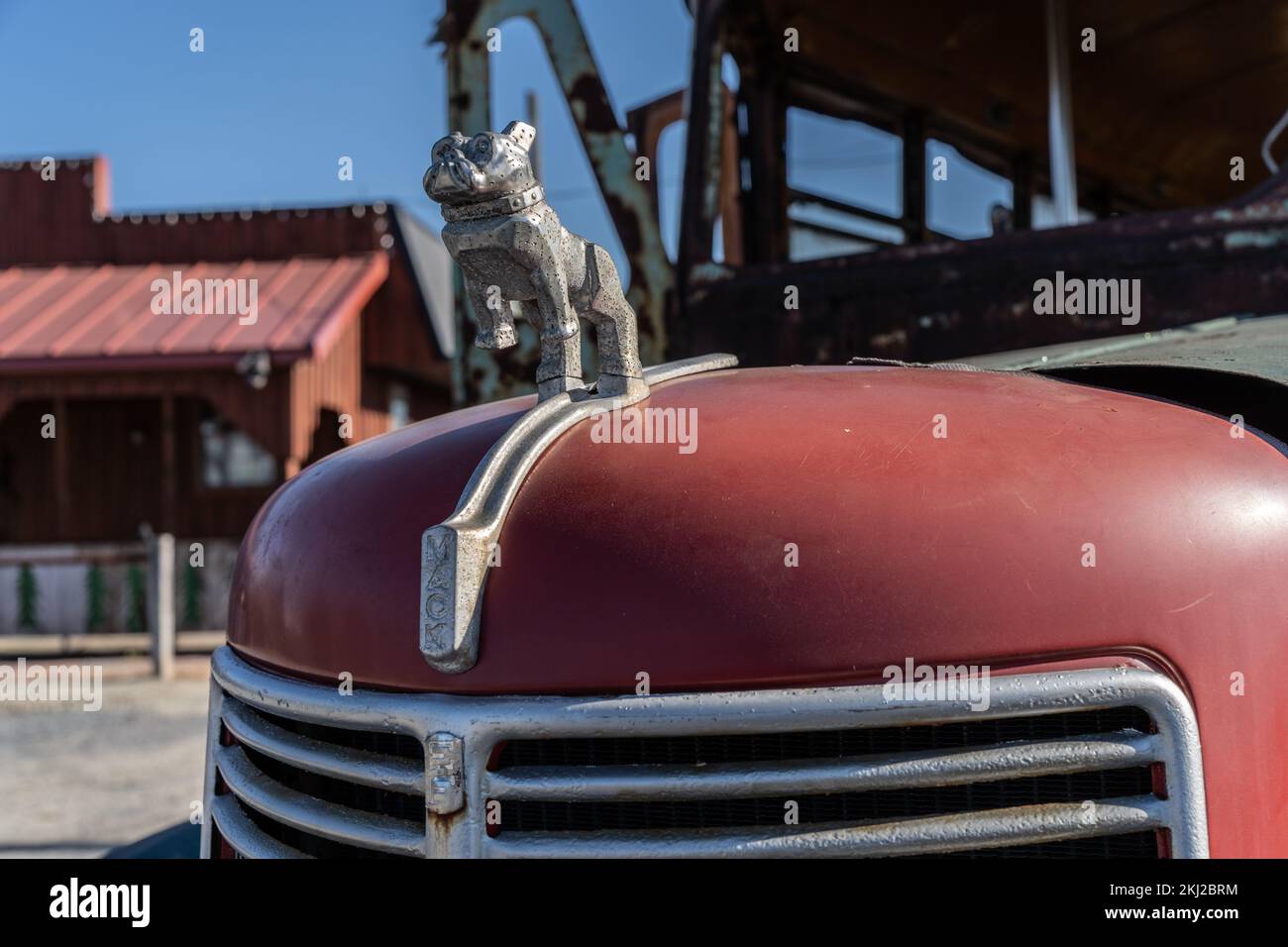 Comté de Berks, Pennsylvanie-22 novembre 2022 : ornement de capot de camion de Old Mack sur le vieux bus de camion de Mack rouillé Banque D'Images