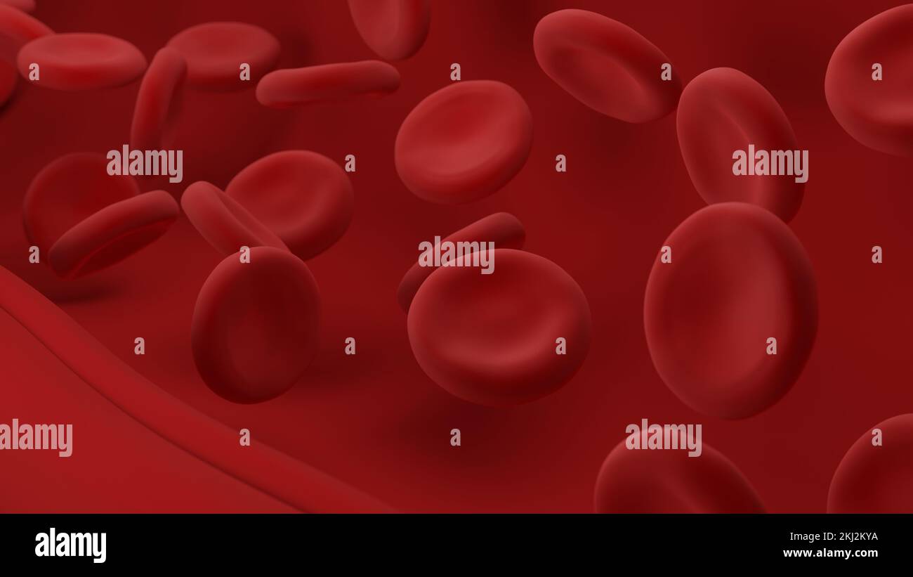 Globules rouges. Érythrocytes. 3d illustration. Banque D'Images