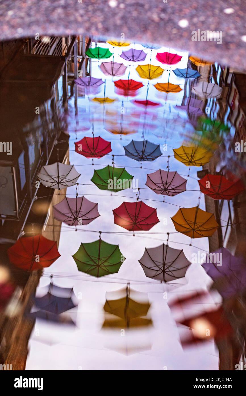 L'Irlande, Dublin, groupe de parapluies reflété dans une flaque Banque D'Images
