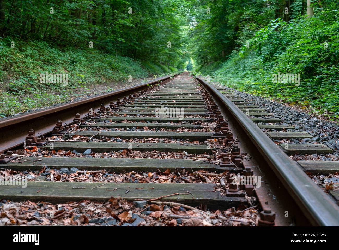 Verlassene alte Bahnstrecke Banque D'Images