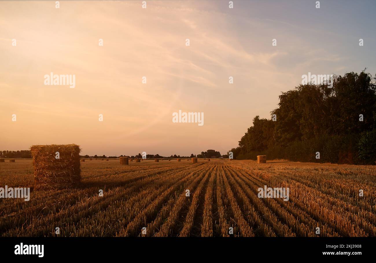 Coucher de soleil d'automne sur Norfolk Royaume-Uni Banque D'Images