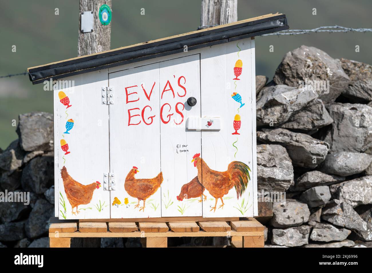 Agriculteur vendant des œufs de la gamme libre à partir d'une boîte d'honnêteté au bout d'une allée de ferme. Cumbria, Royaume-Uni. Banque D'Images