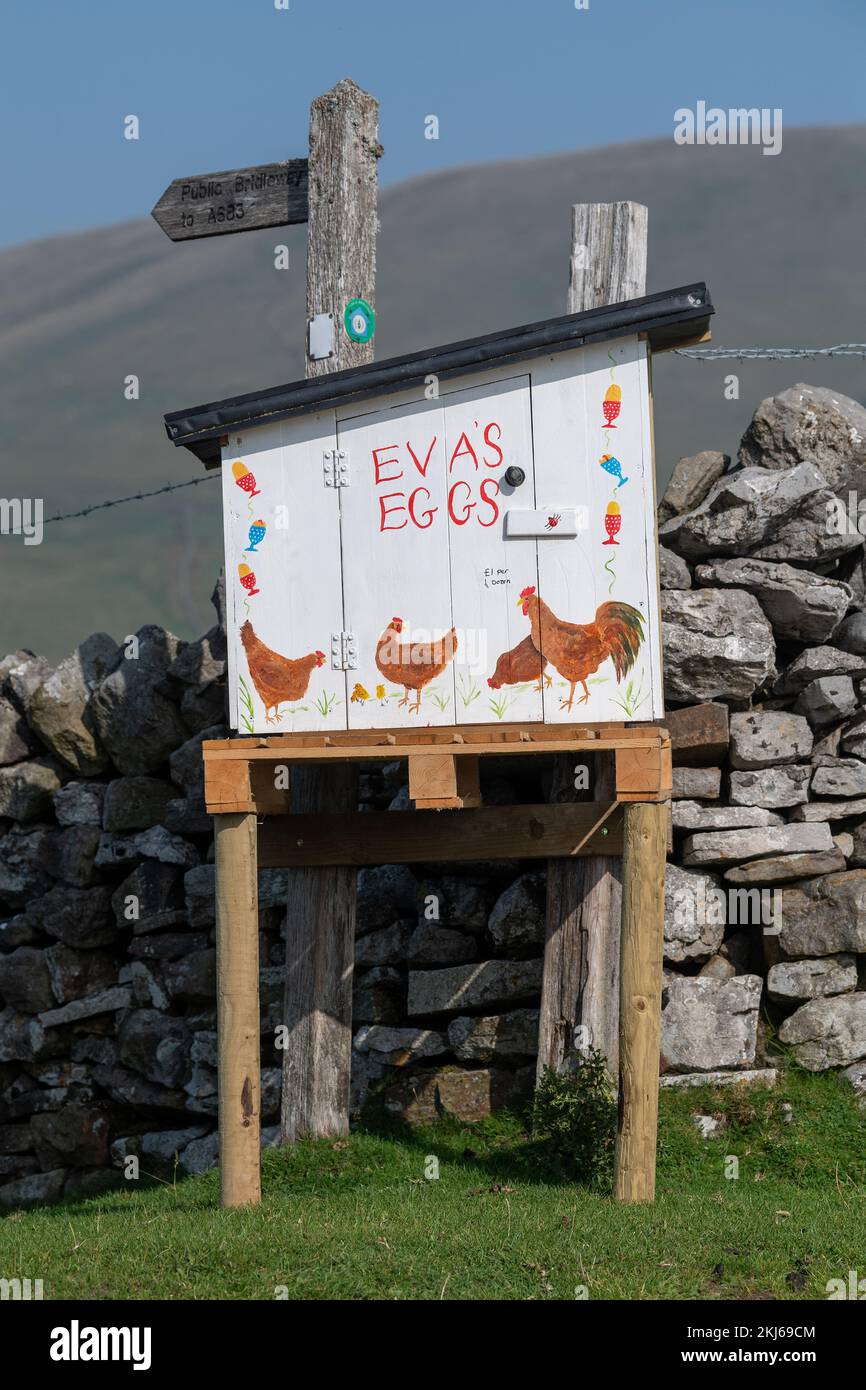 Agriculteur vendant des œufs de la gamme libre à partir d'une boîte d'honnêteté au bout d'une allée de ferme. Cumbria, Royaume-Uni. Banque D'Images