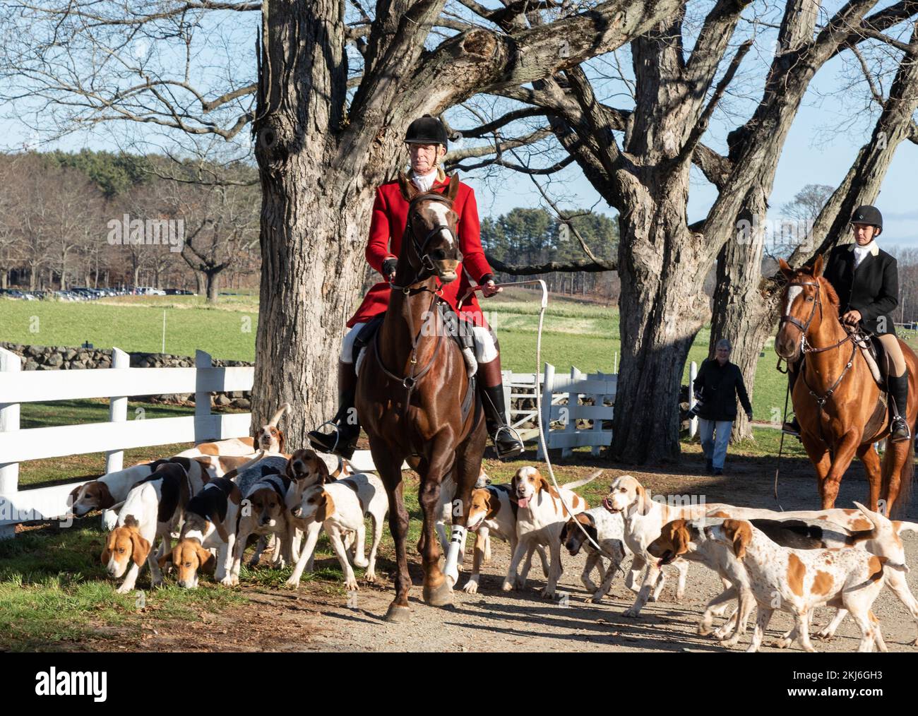 24 novembre 2022. Ipswich, ma. Chasse de Thanksgiving à Appleton Farms. © Marilyn Humphries, 2022 Banque D'Images