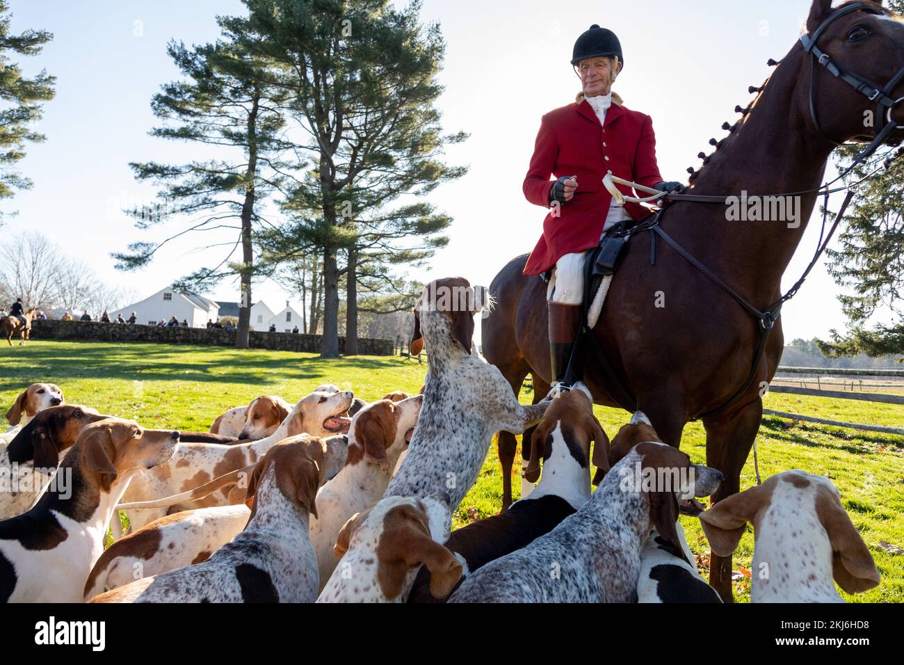 24 novembre 2022. Ipswich, ma. Chasse de Thanksgiving à Appleton Farms. © Marilyn Humphries, 2022 Banque D'Images