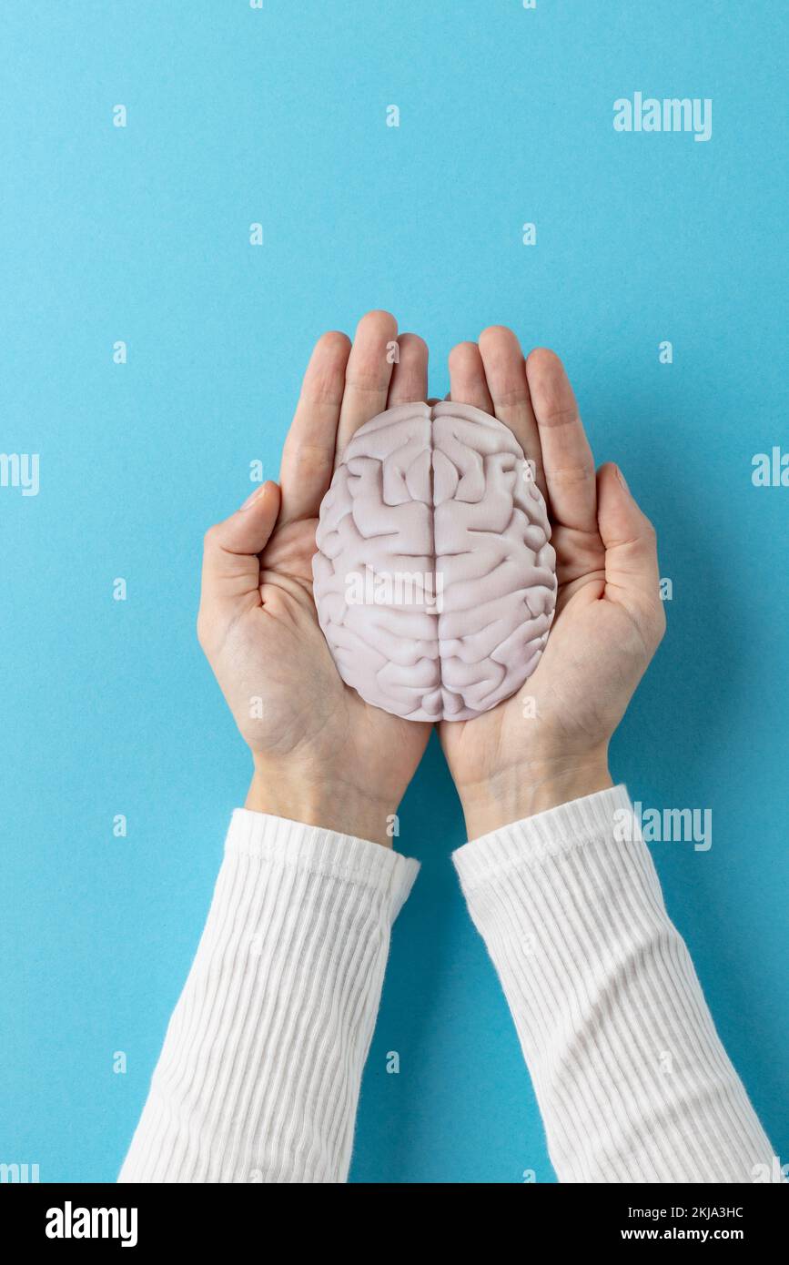 Composition verticale des mains tenant le cerveau sur fond bleu avec espace de copie Banque D'Images