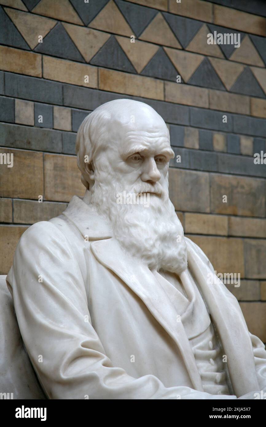 England london natural history museum statue charles darwin Banque de ...