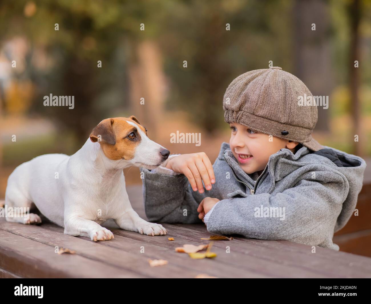 Le chien Jack Russell Terrier est assis sur un banc pour une promenade avec un garçon dans un parc d'automne. Banque D'Images Le chien Jack Russell Terrier est assis sur un banc pour une promenade avec un garçon dans un parc d'automne. Banque D'Images
