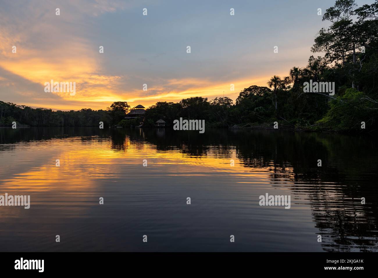 Forêt amazonienne au coucher du soleil, lagune de Garzacocha, parc national de Yasuni, bassin de l'Amazone, Equateur. Banque D'Images