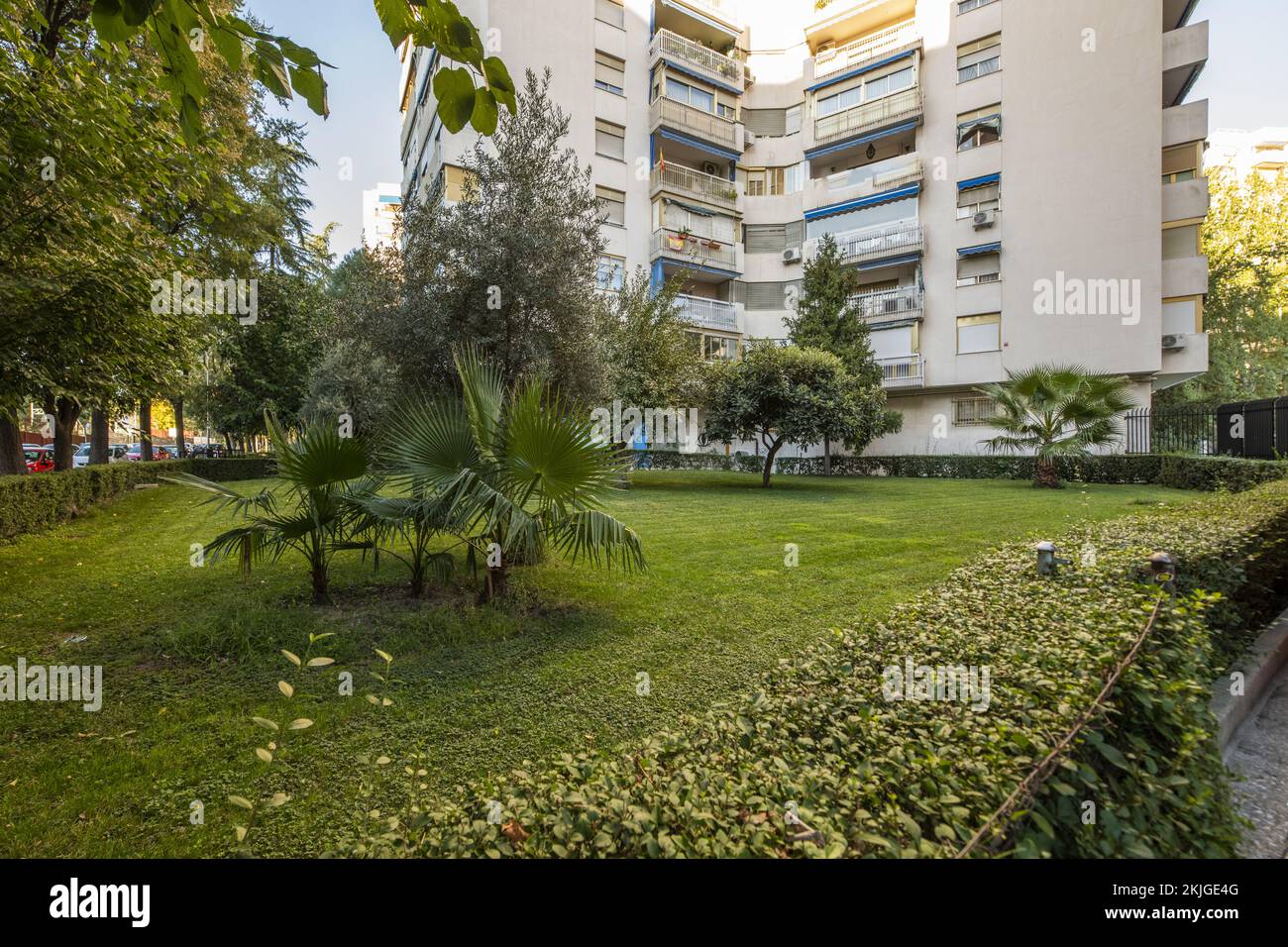 Jardin avec haies et palmiers au pied de certains bâtiments avec terrasses avec auvents bleus Banque D'Images