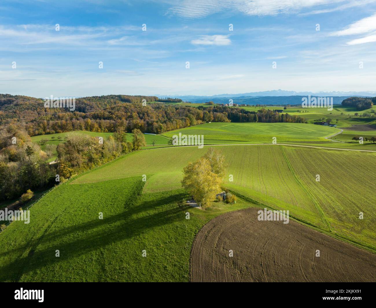 Paysage vallonné dans les contreforts des Alpes près de Klingenzell avec l'ancien Hochwacht, à l'horizon les Alpes suisses avec le Mont Säntis, canton Thurg Banque D'Images