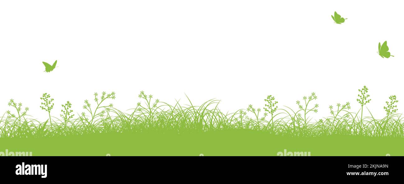Illustration d'arrière-plan du vecteur de champ vert sans couture avec espace de texte. Répétable horizontalement. Illustration de Vecteur