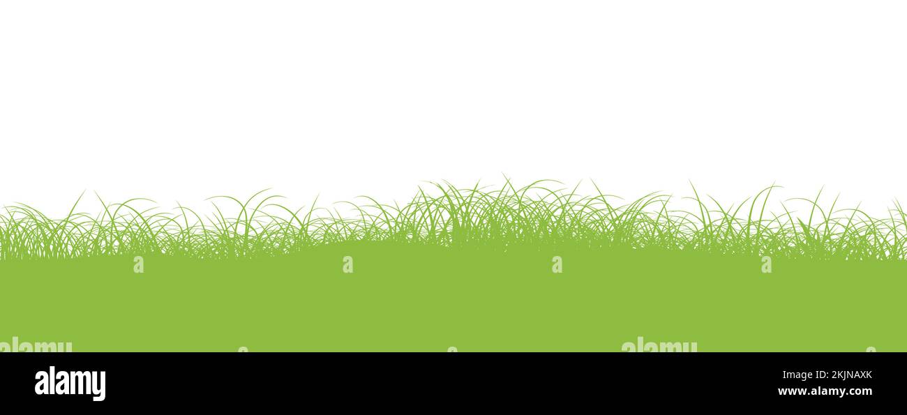 Illustration d'arrière-plan du vecteur de champ vert sans couture avec espace de texte. Répétable horizontalement. Illustration de Vecteur