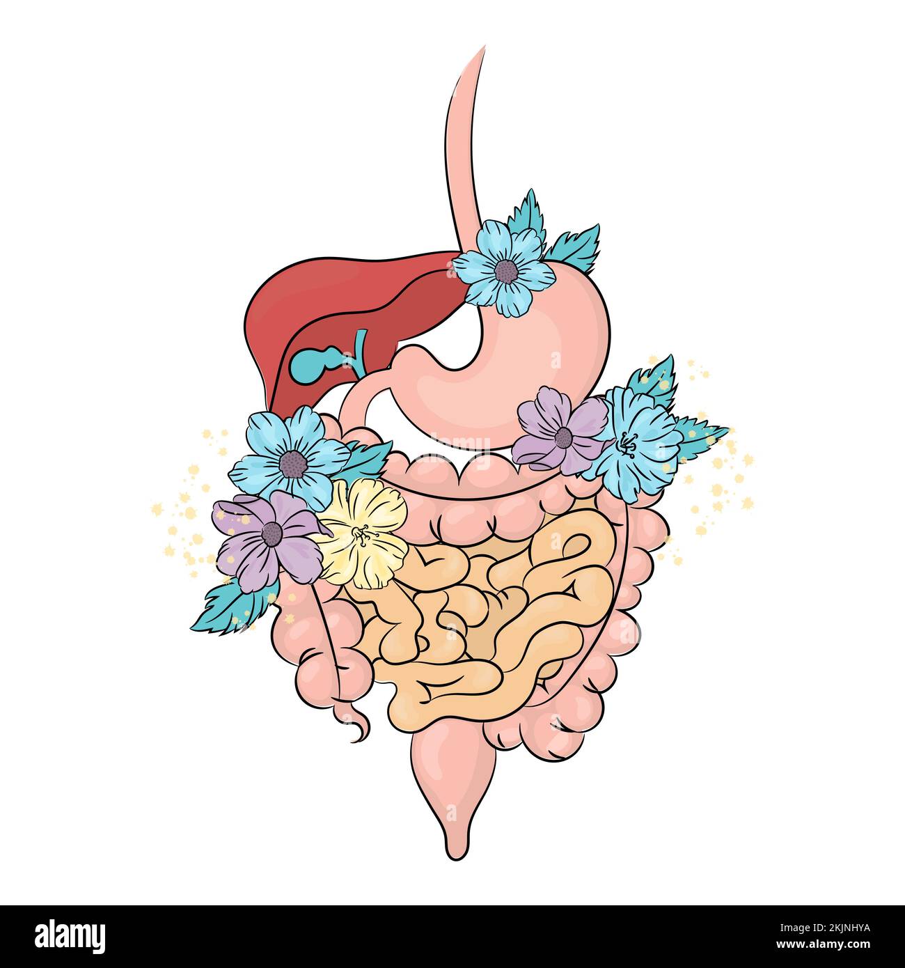 SOINS GASTRO-INTESTINAUX médecine Santé humaine style de vie vacances Floral Vector Illustration Set pour imprimer Illustration de Vecteur