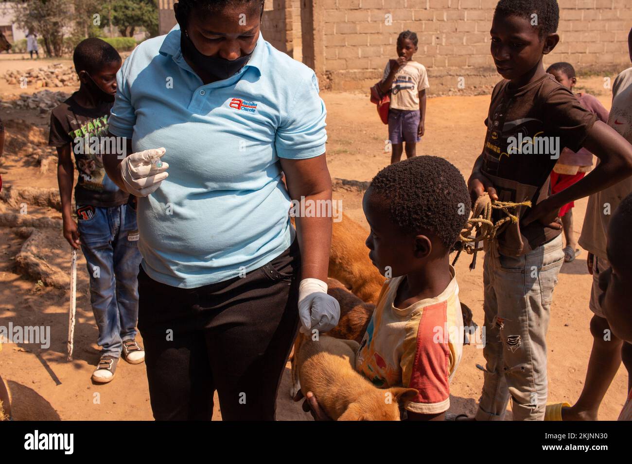 Début de la campagne de vaccination de masse lors de la Journée mondiale de la rage Banque D'Images