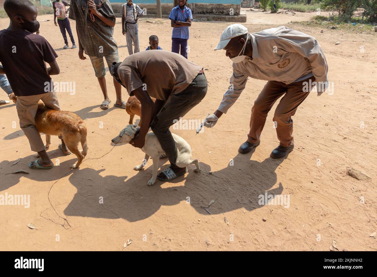 Début de la campagne de vaccination de masse lors de la Journée mondiale de la rage Banque D'Images