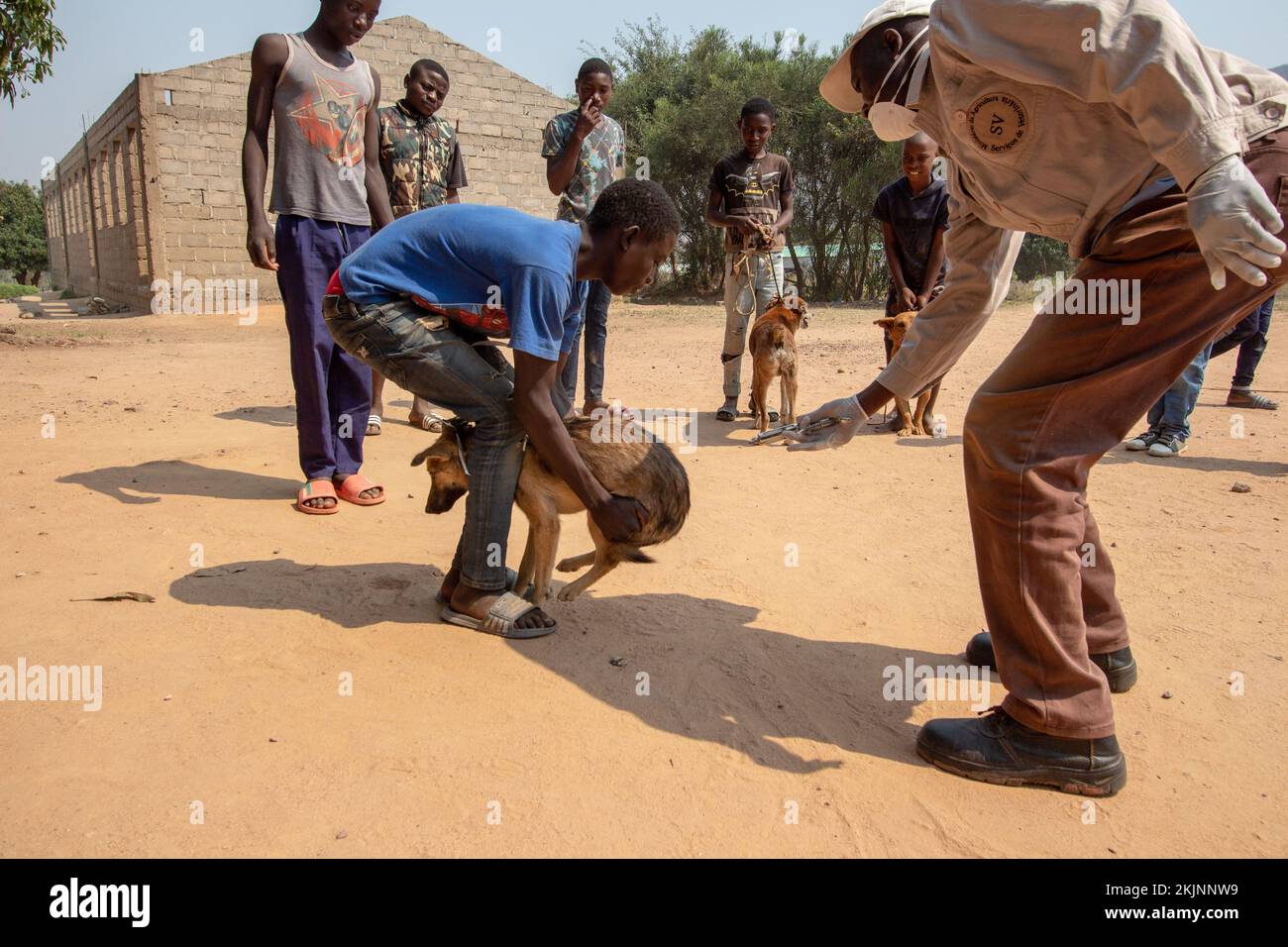 Début de la campagne de vaccination de masse lors de la Journée mondiale de la rage Banque D'Images