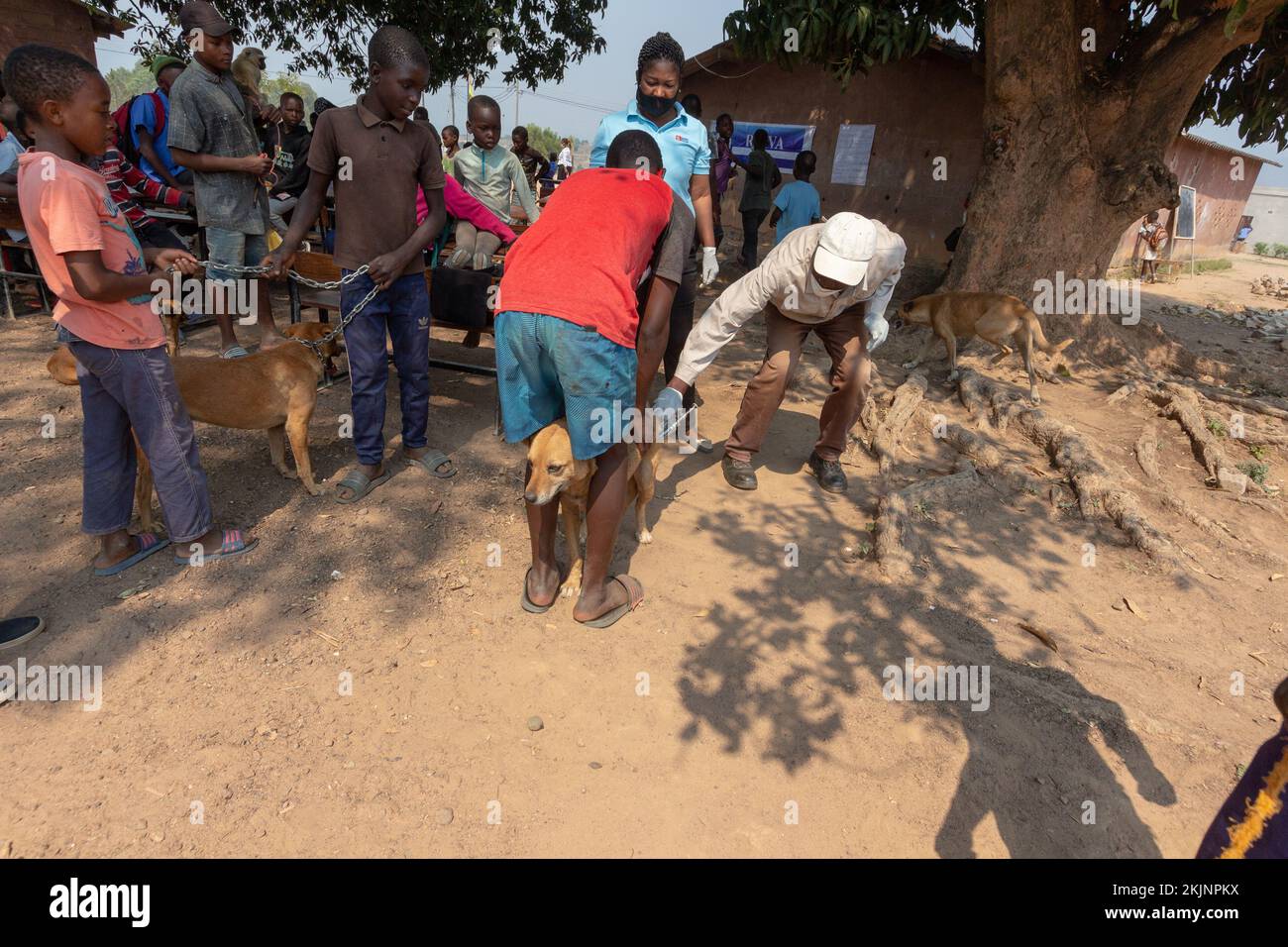 Début de la campagne de vaccination de masse lors de la Journée mondiale de la rage Banque D'Images