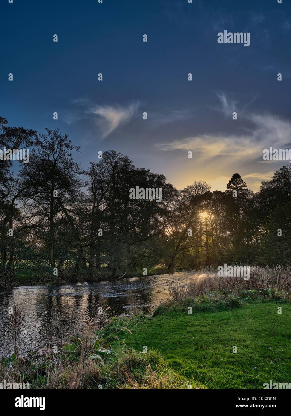 Fin novembre après-midi et un soleil frais commence à tomber derrière une rangée d'arbres près de la rivière Hodder. Slaidburn Banque D'Images