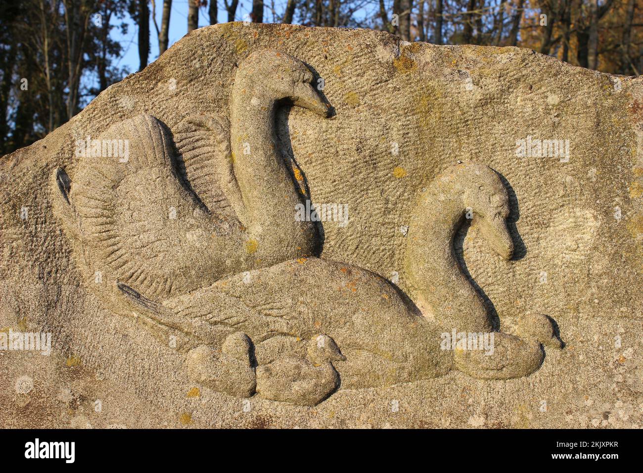 Cygnes sculptant en pierre avec cygnets Banque D'Images