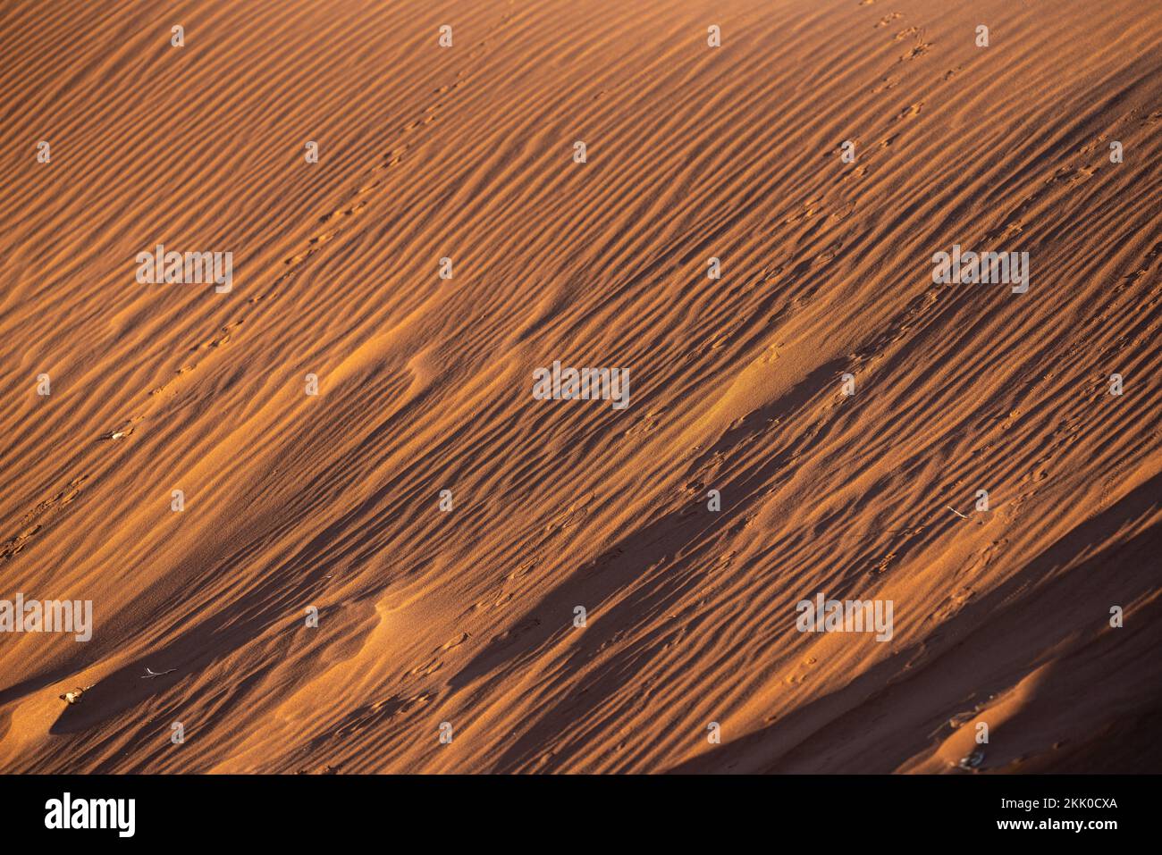 Motifs dans les dunes de sable du désert du Namib au lever du soleil, en Namibie, Afrique Banque D'Images