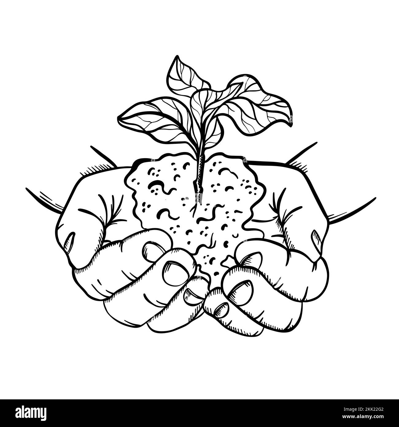 MAINS TENANT LA PLANTE Human Palms avec symbole de la nouvelle vie et de la croissance sous la forme d'arbre en croissance dans le style esquisse Monochrome clip Art Vector Illustration Illustration de Vecteur
