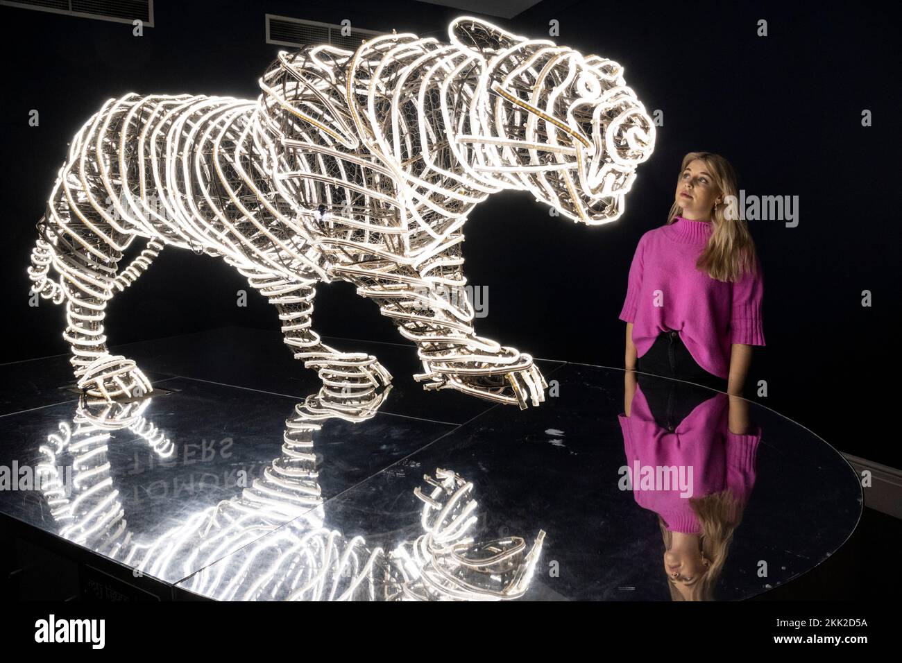 Londres, Royaume-Uni. 25 novembre 2022. Un membre du personnel de « My Tiger Janu » de Chille Burman à un avant-goût de « Tomorrow's Tigers », une exposition caritative à Sotheby's New Bond Street. 12 artistes se sont inspirés du tapis de tigre tibétain pour créer un modèle unique de tapis d'art à l'aide de techniques traditionnelles. Les tapis sont exposés le 24-29 novembre à côté d'une exposition sur le thème du tigre par des artistes avec des bénéfices de tous les fonds de collecte de ventes pour le WWF (World Wildlife Fund). Credit: Stephen Chung / Alamy Live News Banque D'Images