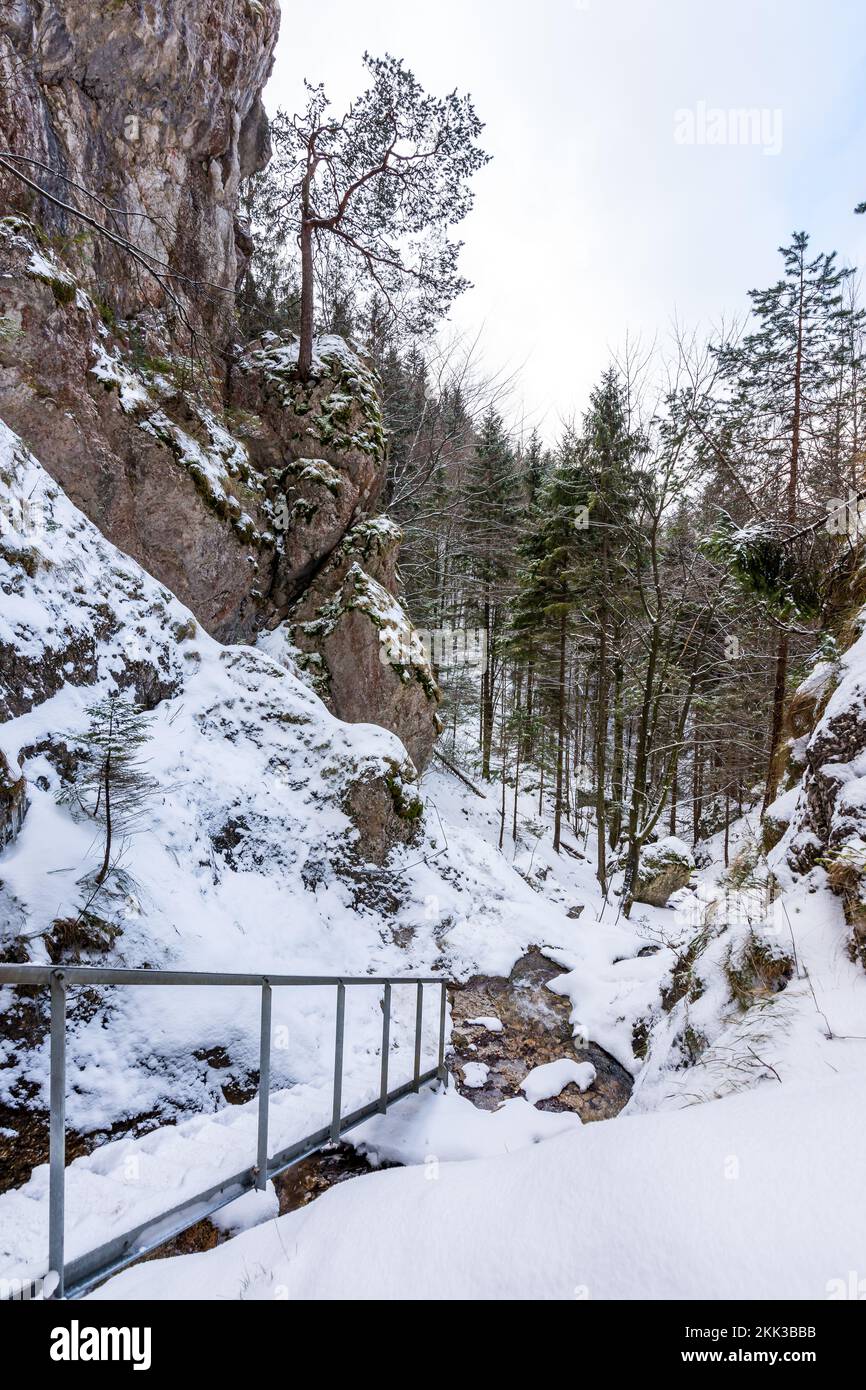 Parc national slovaque Mala Fatra, Janosikove diery, Terchova - parc extérieur en hiver, sentiers dans la neige, tourisme et randonnée. Banque D'Images