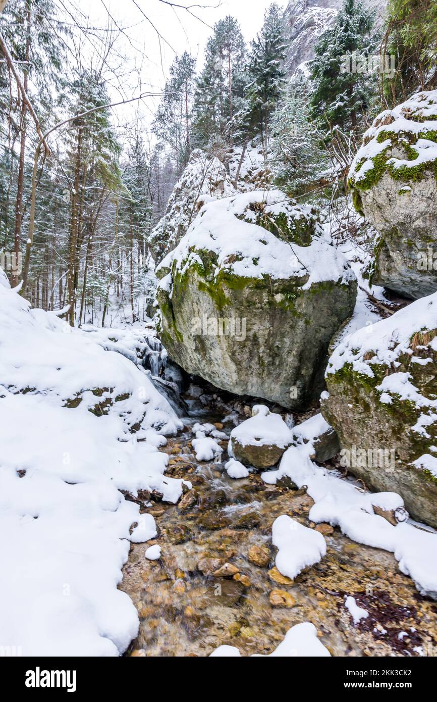 Parc national slovaque Mala Fatra, Janosikove diery, Terchova - parc extérieur en hiver, sentiers dans la neige, tourisme et randonnée. Banque D'Images