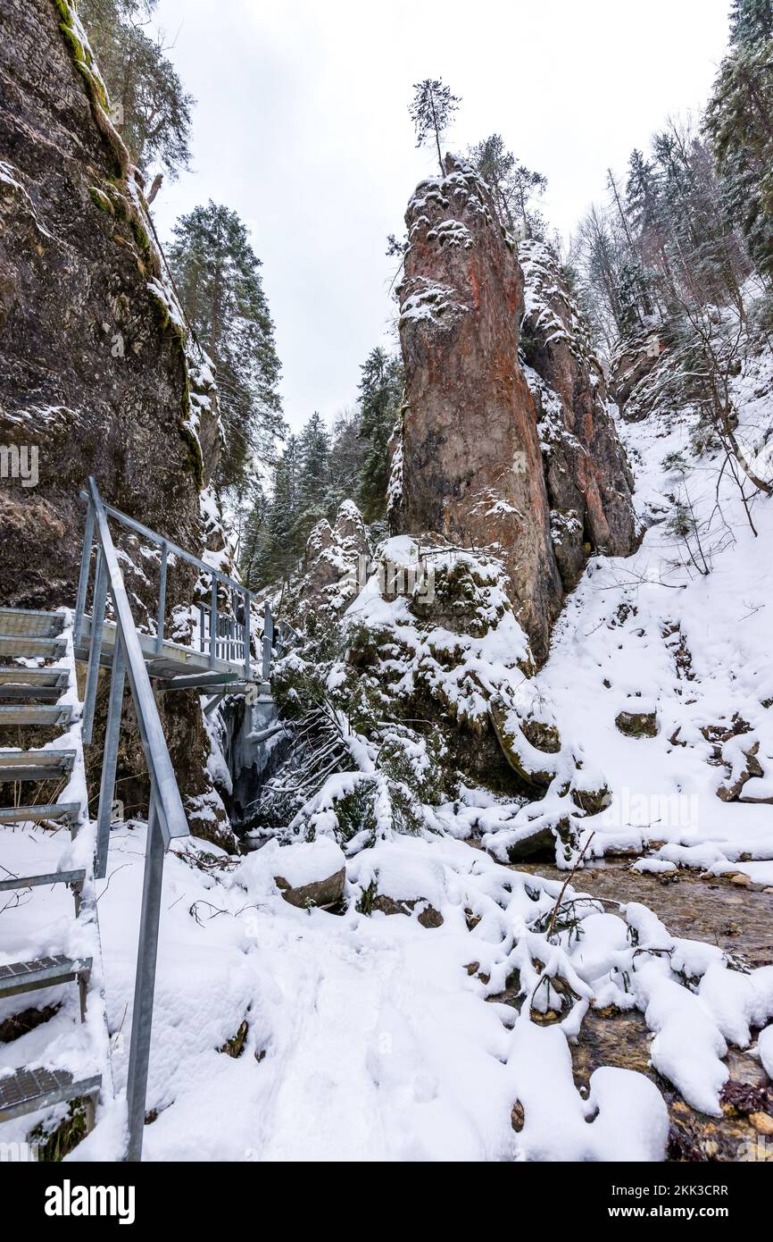 Parc national slovaque Mala Fatra, Janosikove diery, Terchova - parc extérieur en hiver, sentiers dans la neige, tourisme et randonnée. Banque D'Images